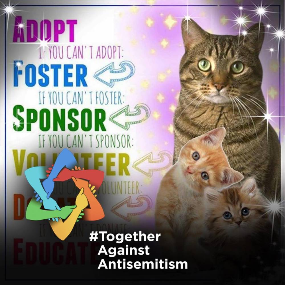 Meet your Posher, Roxane